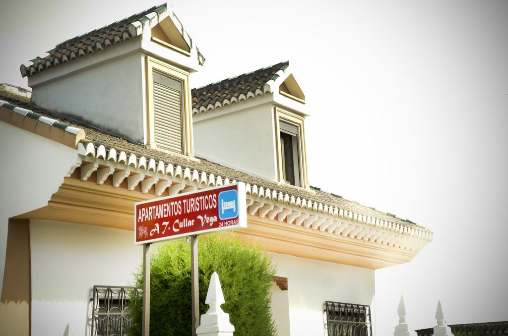 Apartamentos Turisticos Cullar Vega Ngoại thất bức ảnh
